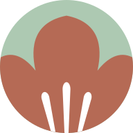 code2d logo